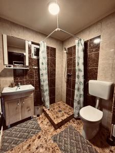 a bathroom with a toilet and a sink and a shower at Cabana Scruba in Topliţa