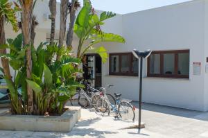 Gallery image of Hotel Solara in Conca Specchiulla