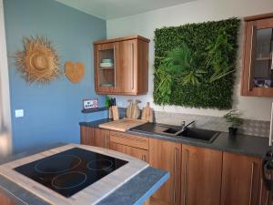 a kitchen with a sink and a counter top at gite l oree de la foret in Incheville