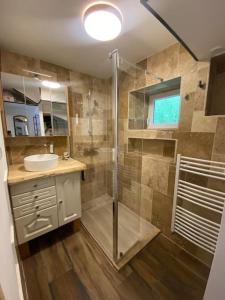 a bathroom with a shower and a sink at Maison au bord de l'eau in Saint-Brieuc +14 photos