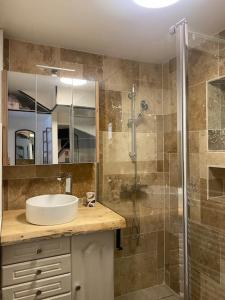 a bathroom with a sink and a shower at Maison au bord de l'eau in Saint-Brieuc
