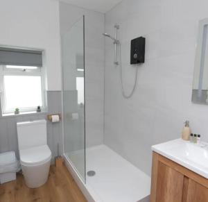 ein Badezimmer mit Dusche, Toilette und Waschbecken in der Unterkunft Adorable 1 bedroom Country Cottage in Bodewryd + 27 Fotos