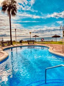a swimming pool with a palm tree and the beach at Apartamento en primera línea de mar!! in Alcanar