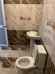 a bathroom with a toilet and a sink at Villa Elhag Nile View in Luxor +36 photos