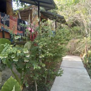 Zahrada ubytování Mook Bamboo Bungalows