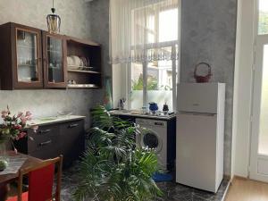 Kuchyň nebo kuchyňský kout v ubytování Guest House Teo