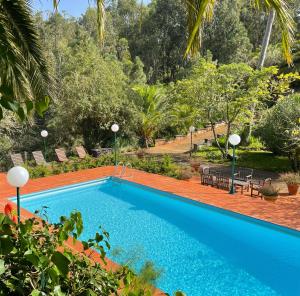 a pool in a resort with trees in the background at Finca El Lance Zumacal in Firgas