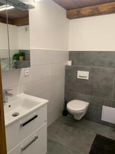 Bilik mandi di Mezonetovy apartmán 1 u rybníka