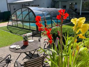 Zahrada ubytování Pino24 Ferienwohnungen