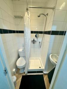 a bathroom with a shower and a toilet and a sink at The Studio At Athol House in London