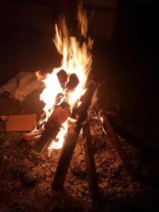 Mynd úr myndasafni af The Manu Emerald # farmHouse # top selling cottage in manali # peaceful heritage cozy stay # lawn with bonfire # most awarded í Manāli