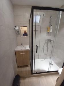 um banheiro com chuveiro e pia em Studio Emmé neuf indépendant Nice Centre em Nice