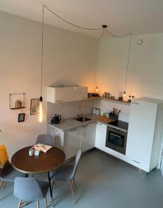 Kuchyň nebo kuchyňský kout v ubytování Luxurious appartement with sauna and kitchen in center of Dordrecht