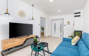 TV a/nebo společenská místnost v ubytování Lovely Home In Vodnjan