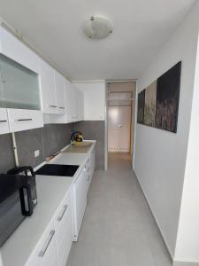 Kuchyň nebo kuchyňský kout v ubytování Apartman Aleja + 6 fotografií