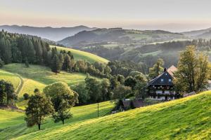 a house on a hill in a green field at Le Petit- Niedliches Ferienapartment mit Pool in Schluchsee