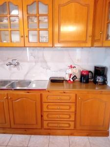 a kitchen with wooden cabinets and a sink at Mountain View in Feneos