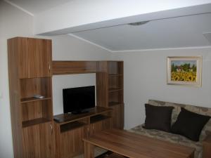 ein Wohnzimmer mit einem TV und einem Sofa in der Unterkunft Andreevite Houses in Saparewa Banja