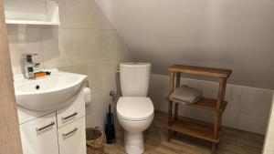 a bathroom with a white toilet and a sink at Charming studio by the river in Uście Gorlickie +15 photos