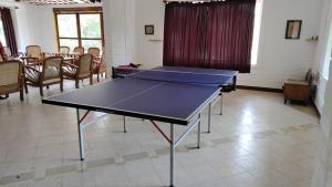 Stolní tenis v ubytování Inn Pondiville Forest Retreat nebo okolí