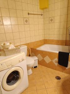 a bathroom with a washing machine and a toilet at Delphion House in Arachova +37 photos