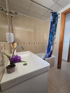 a bathroom with a sink and a shower at Apartament Carina in Mar de Cristal +66 photos