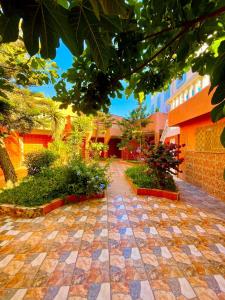 Vrt pred nastanitvijo Surf & Salsa Ocean House