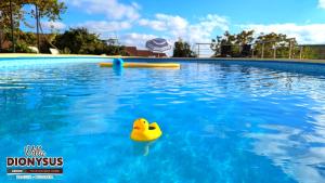 The swimming pool at or close to Arode Villa Dionysus