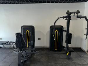 Fitness centrum a/nebo fitness zařízení v ubytování The Royal Retreat