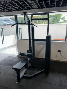 Fitness centrum a/nebo fitness zařízení v ubytování The Royal Retreat