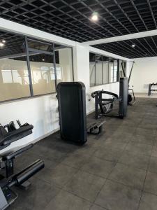 Fitness centrum a/nebo fitness zařízení v ubytování The Royal Retreat