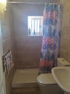 a bathroom with a shower with a toilet and a sink at Casa Azul Mountain Retreat in Las Lagunetas +72 photos