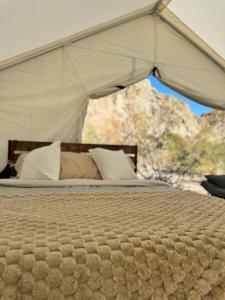 a bed in a tent with a view at Vegas Glamping in Marie Camp +52 photos