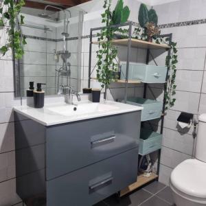 Baðherbergi á Charmant studio d'invité - Baie-Mahault