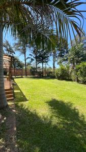 a palm tree in a park with a grass field at Habitacion privada en casa familiar in San Bernardino