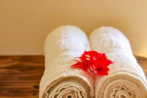 Φωτογραφία από το άλμπουμ του El Cabrero by Alohouse -Apartamentos en David σε David +42 φωτογραφίες