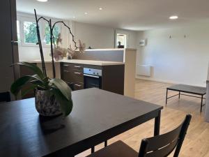 a kitchen with a table with a potted plant on it at Hébergement - Limonest in Limonest
