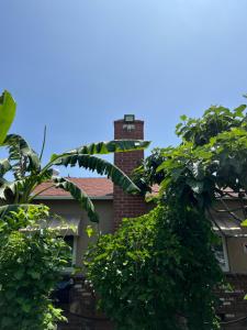 Bangunan di mana terletaknya homestay