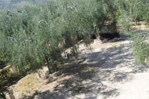 Φωτογραφία από το άλμπουμ του Villa Carmine σε Mattinata