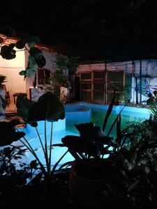 Bazén v ubytování Nahimara Champeta Hostel nebo v jeho okolí