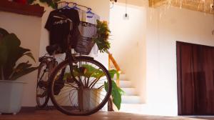 Jízda na kole v ubytování Camotes Hostel Resort nebo okolí