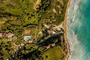 an aerial view of a beach and the ocean at Costa Avithos in Svoronata