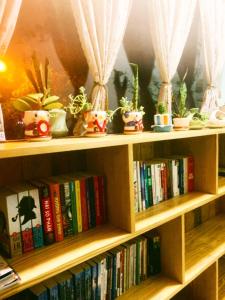 une étagère remplie de livres et de plantes en pot dans l'établissement Hiên Cúc Vàng Homestay, à Da Thanh 76 autres photos