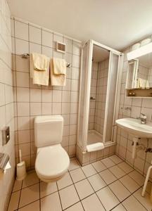 Swiss Lodge Joopi的一间浴室