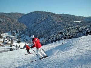 a group of people skiing down a snow covered slope at Wald-Wohnung in Todtmoos in Todtmoos