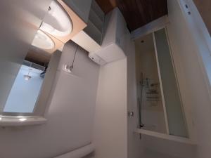 a bathroom with a shower and a toilet and a window at T2 lumineux centre-ville avec Wi-Fi, lave-linge et lave-vaisselle - FR-1-541-122 in La Roche-Posay