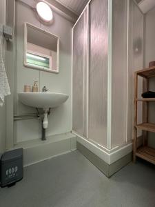 a bathroom with a sink and a mirror at Paradiesufer am See in Milmersdorf +43 photos