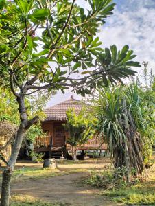 Tangga Bungalows Gili Air外面的花园