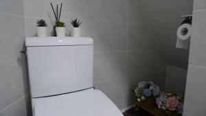Un baño con un inodoro con plantas encima. en Sinchon sweet house, en Seúl