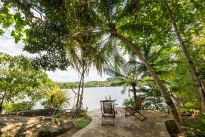 a chair sitting under palm trees next to a body of water at Villa Birdlake in Hikkaduwa